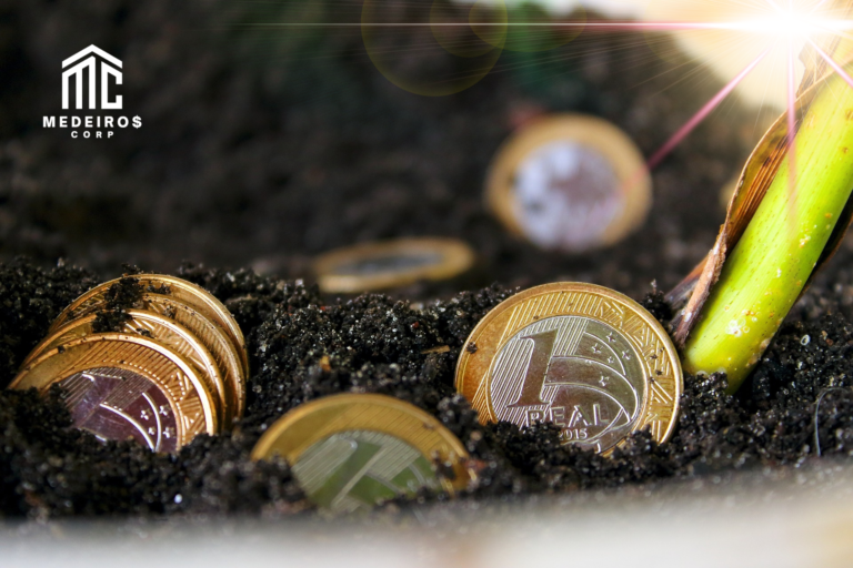 plantando a mudança